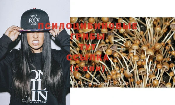 гашиш Струнино